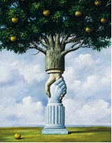 7005-5-1