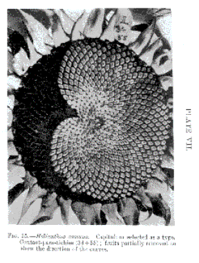 7185-1-2